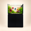 Raumteiler Aquarium P 90 -Schwarz - Neptunian Cube