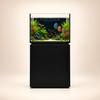 Neptunian Cube M-Pro 60 - Premium Salzwasseraquarium 150 Liter Schwarz