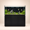 Premium Salzwasseraquarium 470 Liter Schwarz - Neptunian Cube M-Pro 150