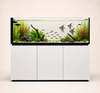 Meerwasser-Aquarium 703 Liter - Neptunian Cube P 180 Peninsula