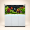 Super Series 150 Weiß 630L - Neptunian Cube S