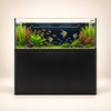 Super Series 150 Schwarz 630L – Neptunian Cube