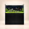 Super Series 120 Schwarz -480L - Neptunian Cube