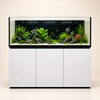 Premium Salzwasseraquarium 550 Liter - Neptunian Cube M-Pro 180