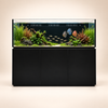 Premium Meerwasseraquarium 550 Liter Schwarz - Neptunian Cube M-Pro 180