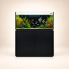 Premium Salzwasser Aquarium 330 Liter Schwarz – Neptunian Cube M-Pro 120