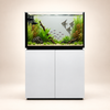 Raumteiler-Aquarium P 90 - Weiß - Neptunian Cube