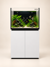 M-Pro 90 – Premium Meerwasseraquarium 250 Liter Weiß -Neptunian Cube